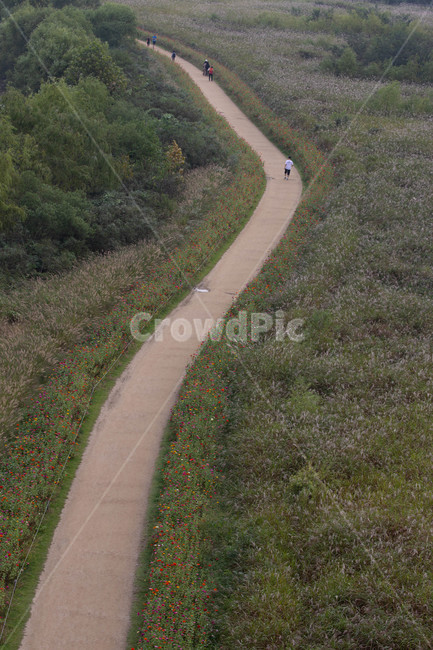 길,억새길,억새,인간,human,자연,풍경,nature,landscape