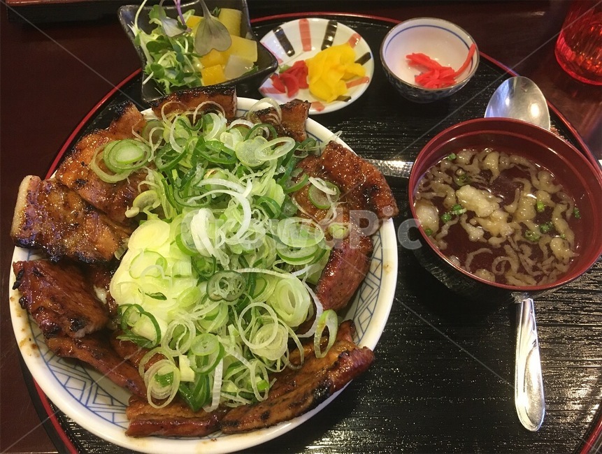 dish,요리,food,식품,meal,식사,덮밥,일식