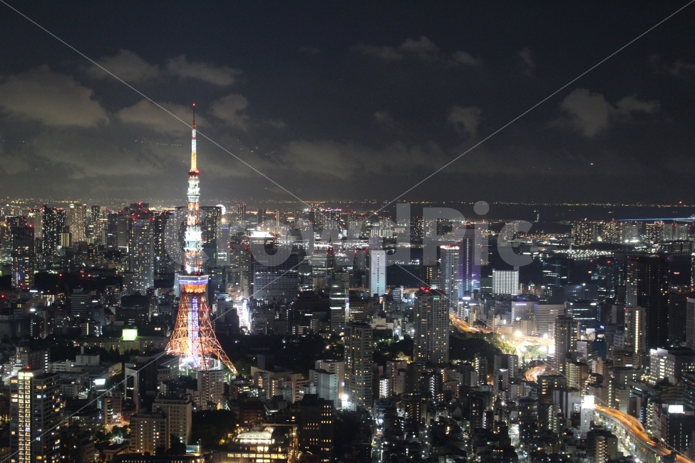 일본,도쿄,여행사진,여행,야경,야경,밤,풍경,nightscape,night,landscape,해외,외국,세계,foreign,oversea,world,세계도시풍경,해외도시풍경,외국도시풍경,world cityscape,랜드마크,landmark,tourist attraction,세계랜드마크,해외랜드마크,외국랜드마크,world landmark,world tourist attraction,outdoors,옥외,nature,자연,경치,scenery