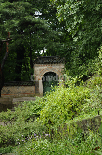 창덕궁,고궁,기와지붕,건축,traditional,전통,나무,담장,문,한국전통,한국문화,korean traditional,korean culture,건축물,건물외관,exterior,building,structure,architecture,construction