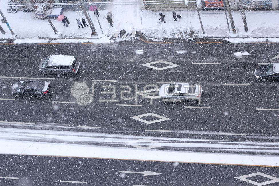 눈,눈내리는날,눈오는날거리,거리,도로,날씨,자동차,automobile,car