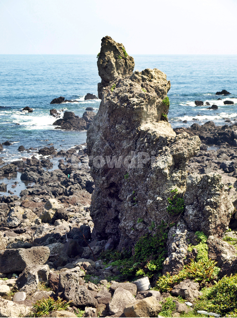 신천리해변,바다목장,올레3코스,올레,제주,서귀포,바다,기암괴석,자연,풍경,nature,landscape,promontory,곶,cliff,낭떠러지,outdoors,옥외