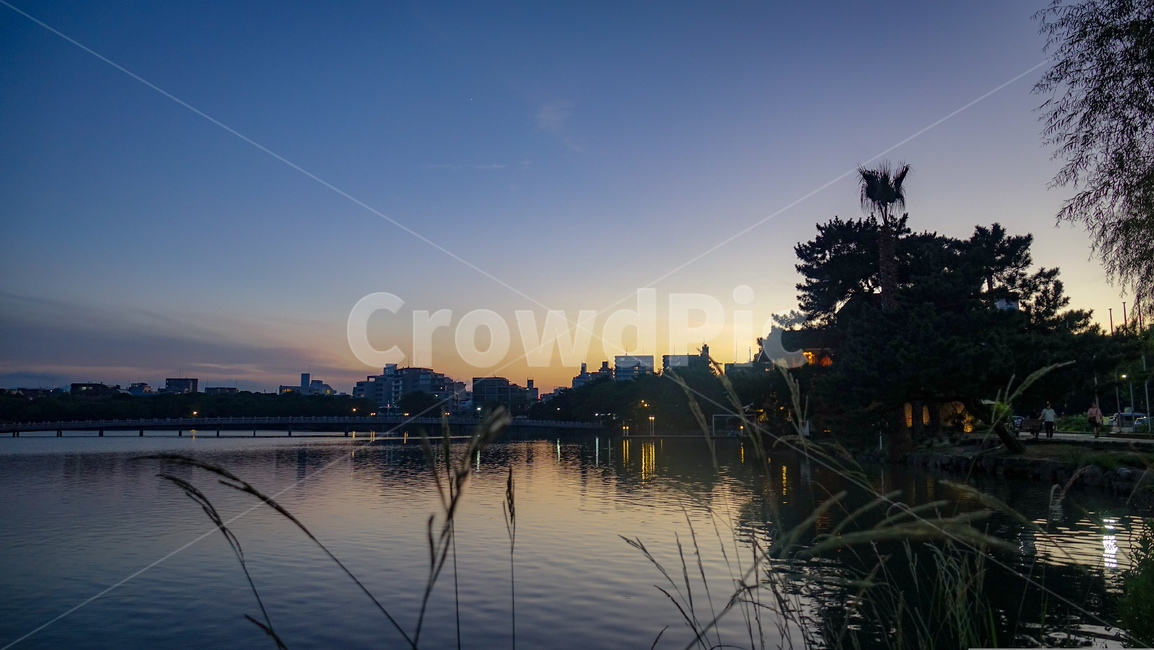 오호리공원,후쿠오카,공원,노을,일몰,풍경,핑크빛노을,호수,park,오호리코엔,fukuoka,감성,자연,나무,다리,plant,식물,grass,잔디,outdoors,옥외,nature