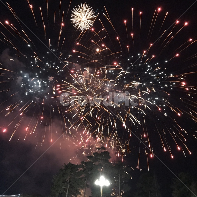 outdoors,fireworks,happynewyear,새해,불꽃,불꽃놀이