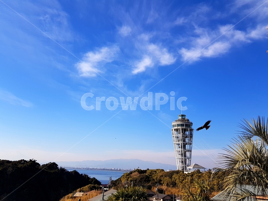 일본,japan,에노시마,enoshima,하늘,sky,독수리,eagle,architecture,건축물,건물,nature,자연,outdoors,옥외,tower,탑,청량한