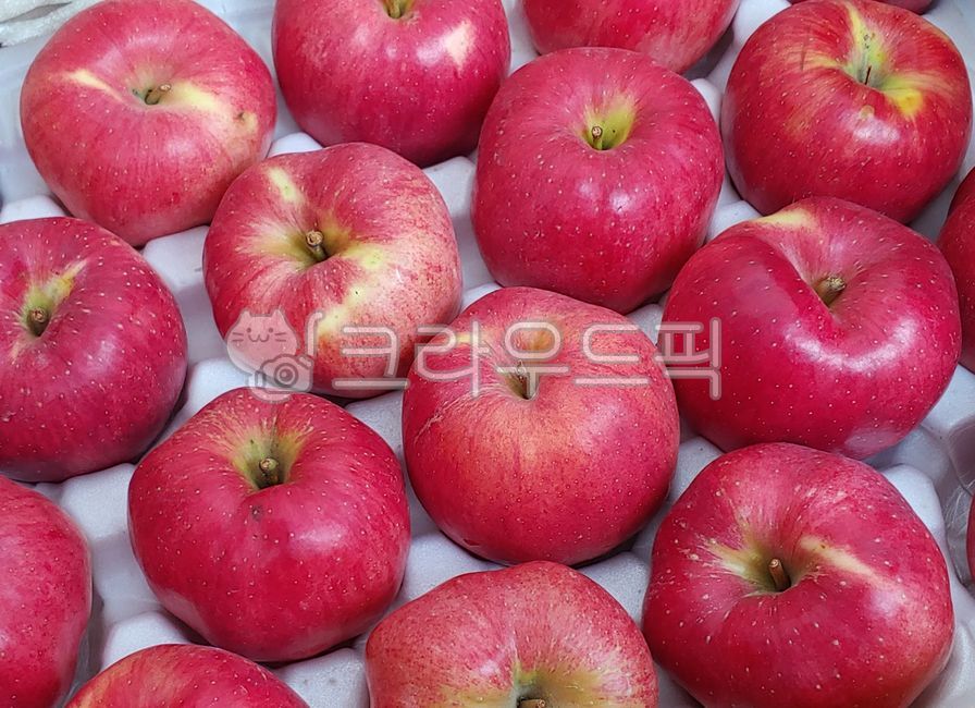 홍옥, 부사, 사과, 애플, apple, 사진,이미지,일러스트,캘리그라피 - Njigun123작가