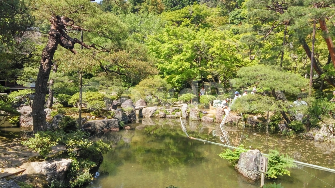교토,여행,은각사,풍경,자연,나무,이미지사진,연못,kyoto,travel,trip,kingakuji,landscape,nature,tree,pond,image,자연,풍경,nature,landscape,해외,외국,세계,foreign,oversea,world,water,물,outdoors,옥외