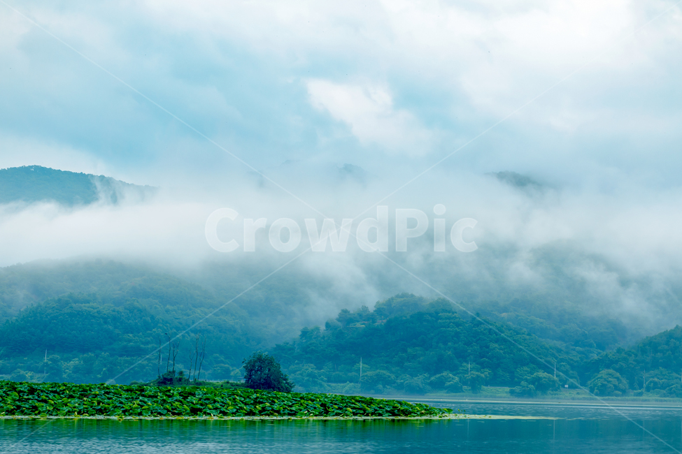 연꽃섬,연꽃,바다산,하늘,구름,자연,세미원,한국,녹색,자연,풍경,nature,landscape,outdoors,옥외,water,물,scenery,land,땅