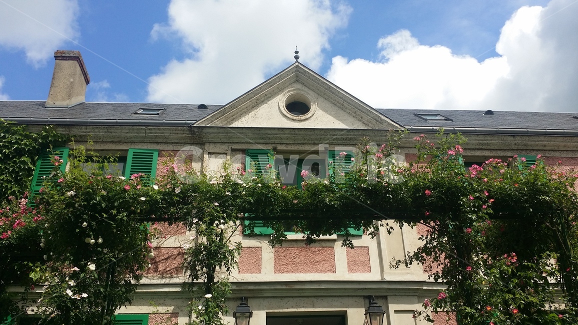 프랑스,지베르니,모네,생가,정원,france,giverny,monet,house,garden,flower,꽃,명소,sight,spot,덩쿨,bine