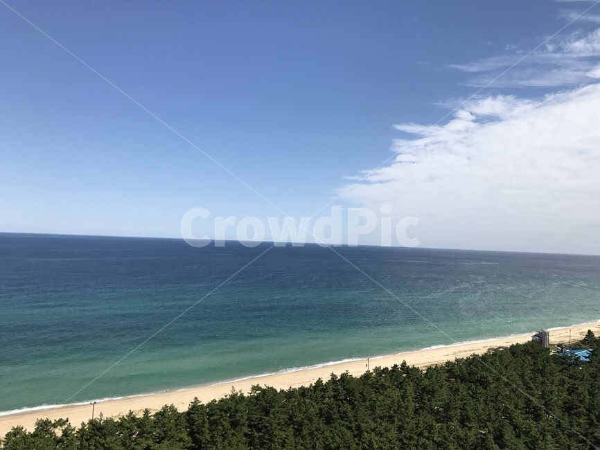 바다,구름,해변,파도,수평선