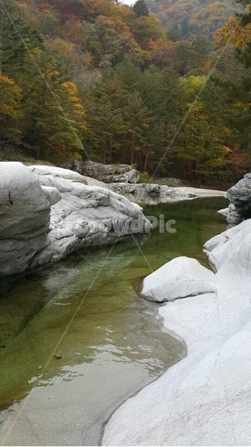 nature,자연,outdoors,옥외,water,물,설악산풍경,가을풍경,단풍