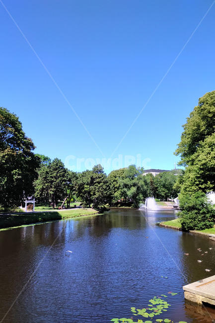 자연,nature,물,water,호수,lake,나무,tree