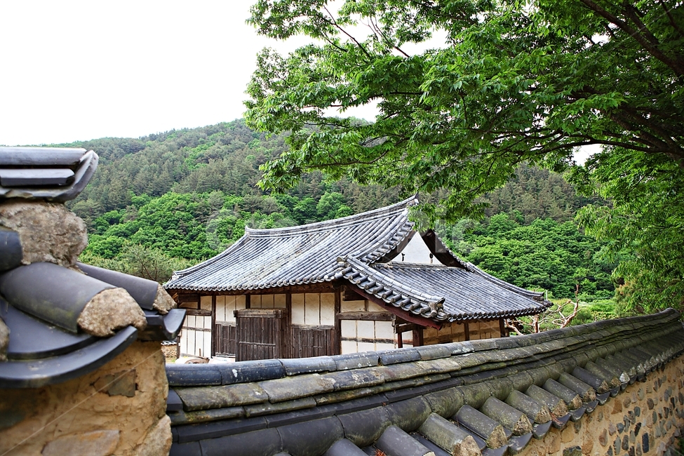 한옥,고택,집,주택,기와집,풍경,배경,자연