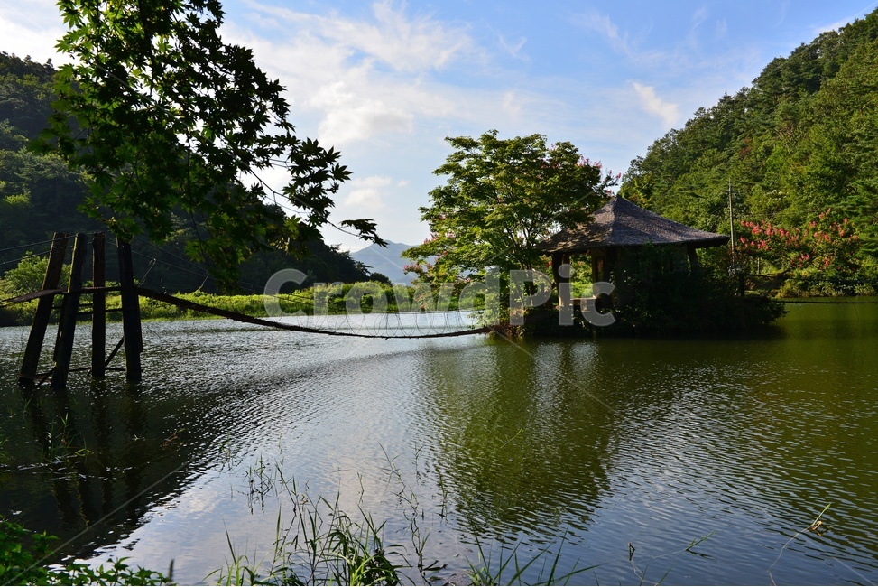 water,물,nature,자연,outdoors,옥외,순천,일일레져타운,배롱나무,배롱나무꽃,반영,저수지,하늘,구름,자연,풍경,nature,landscape