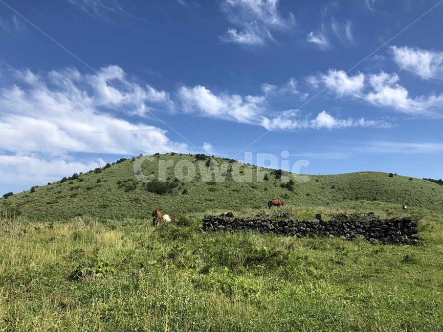 초원,grassland,가을하늘,제주도,jeju,오름,sky,scene,구름,cloud