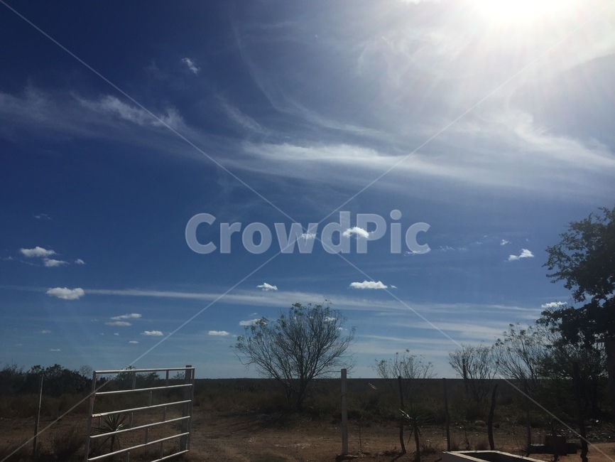 nature,자연,outdoors,옥외,mexico,멕시코,농장,farm,하
