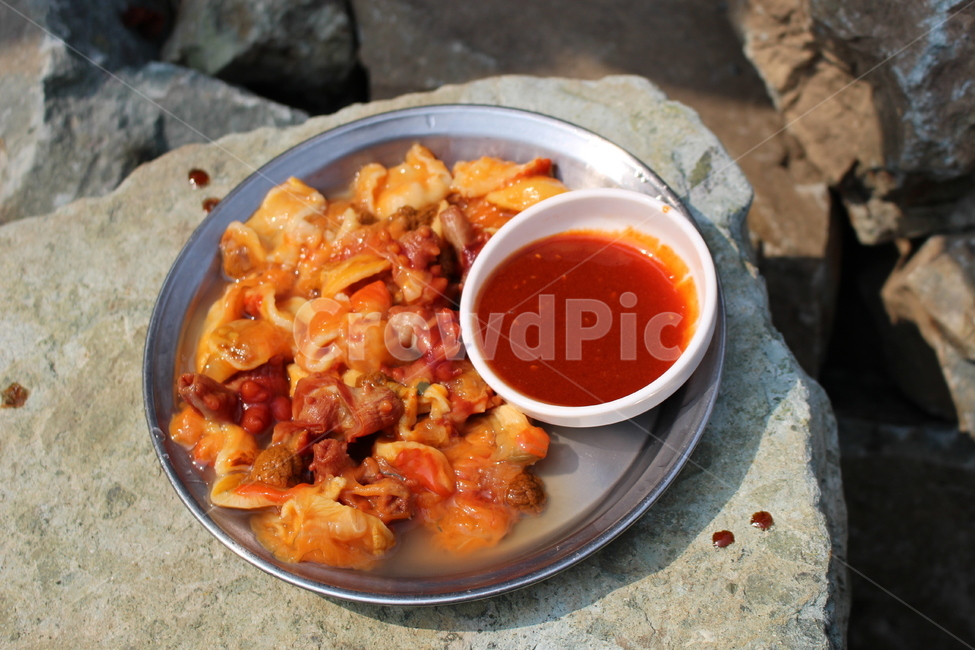 부산,부산멍게,멍게,바다옆멍게,싱싱한멍게,음식,식재료,요리,food,cook,meal,dishes,food reserves,수산물,해산물,fishery products,seafood