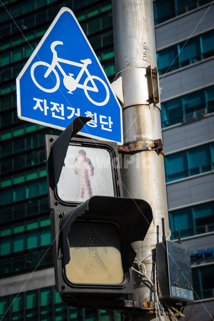 신호등,도심속,도시,고장,간판,오류,빨간불