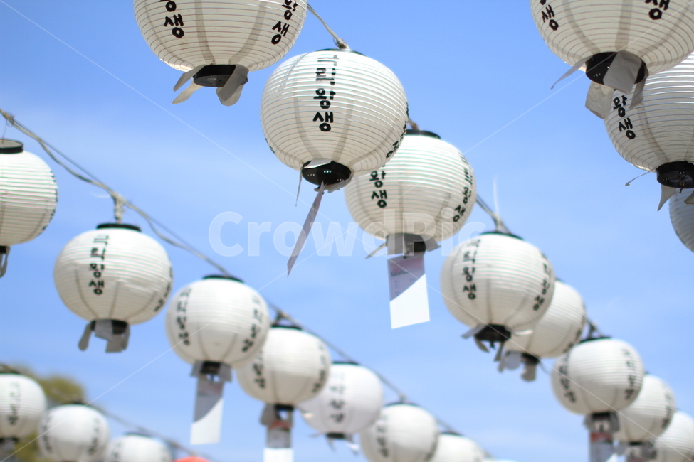 극락왕생,부처님오신날,연등,극락,흰연등,종교,신앙,religion,belief,faith,축제,행사,festival,carnival,event