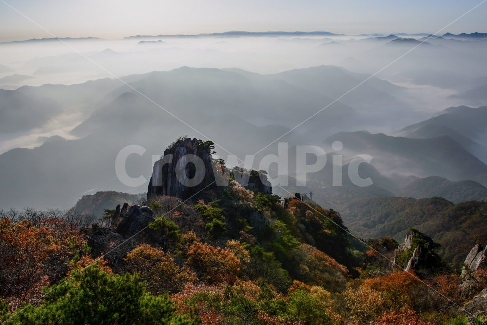 일출,운해,풍경,대둔산,가을단풍,자연,풍경,nature,landscape,outdoors,옥외,mountain,산,plateau,고원