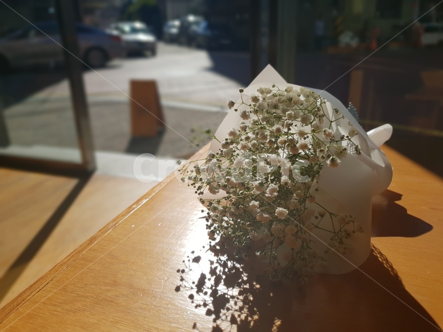 카페,안개꽃,감성,미니꽃다발,flower,꽃,flower