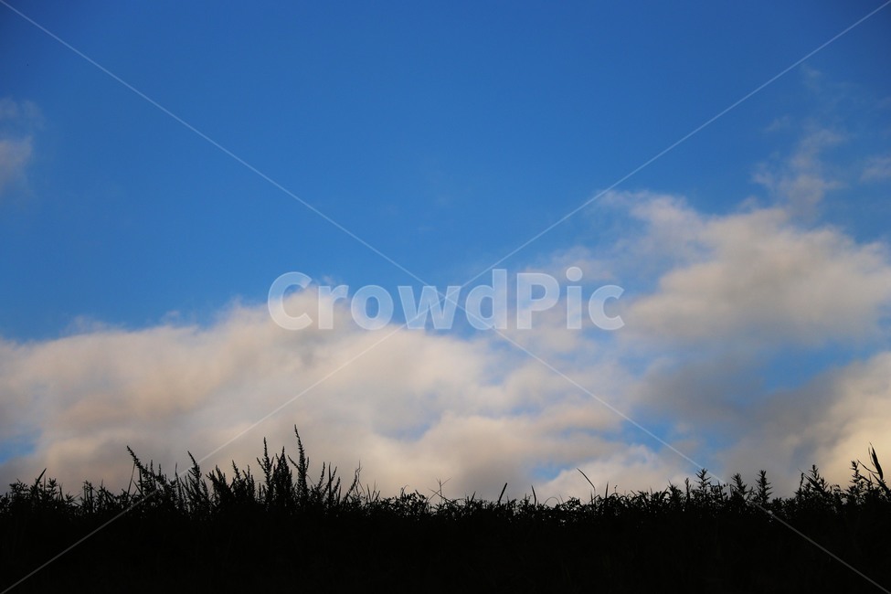 구름,자연,들판,cloud,nature,자연,풍경,nature,landscape