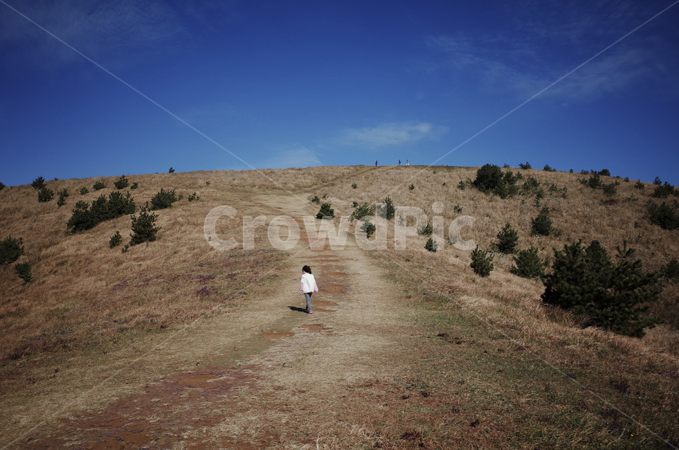 nature,자연,outdoors,옥외,언덕,hill,들판,초원,하늘,sky,bluesky,파란하늘,푸른하늘,field,들,ground,바닥,person,사람,human,인간