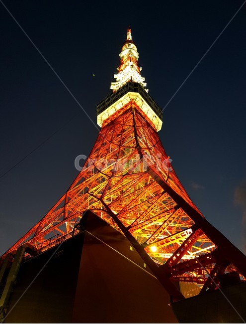 architecture,건축물,tower,탑,건물,building,도쿄,도쿄타워,tokyotower,tokyo,밤,night,야경,nightview,city,landmark,japanlandmark,랜드마크,랜드마크,landmark,tourist attraction,세계랜드마크,해외랜드마크,외국랜드마크,world landmark,world tourist attraction