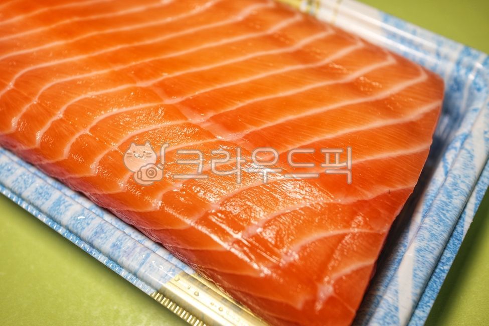 연어, salmon, 연어회, 생연어회, 생연어, 사진,이미지,일러스트,캘리그라피 - SeeOn작가