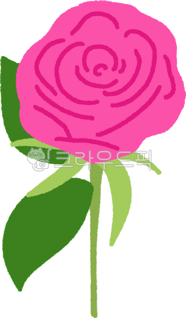 장미,핑크장미,분홍장미,장미꽃,5월,봄,식물,자연,시즌,성년의날,로즈데이,장미한송이,꽃한송이,장미그림,장미일러스트,꽃일러스트,장식,데코,누끼,illustration,graphic,design,png,flower,rose