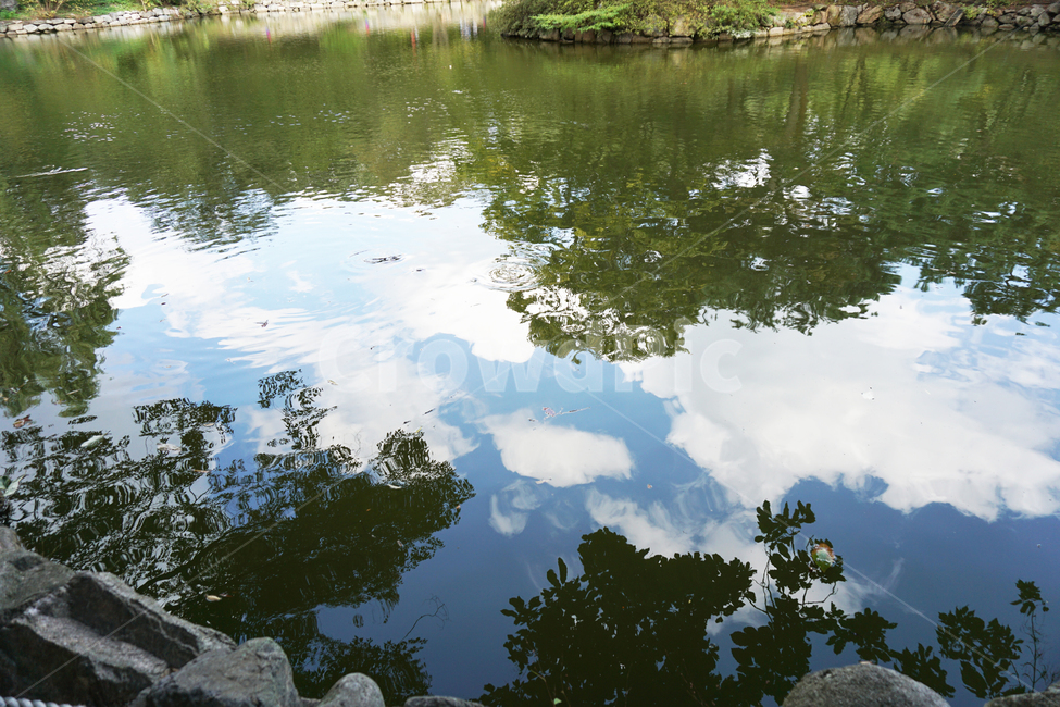 water,물,nature,자연,outdoors,못,pond,land,옥외,땅,물고기,비침,하늘,나무,자연,풍경,nature,landscape