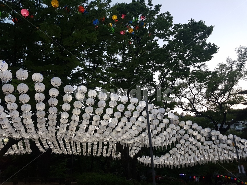 연등,초파일,석가탄신일,길상사,절,사찰,lotuslantern