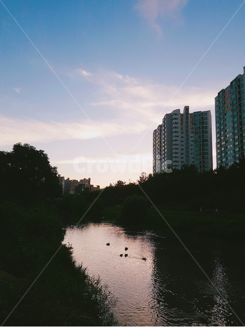 강,동물,풍경,하늘,공원,도시,풍경,city,landscape,한국도시풍경,한국도시경관,korea cityscape,nature,자연,water,물,outdoors,옥외