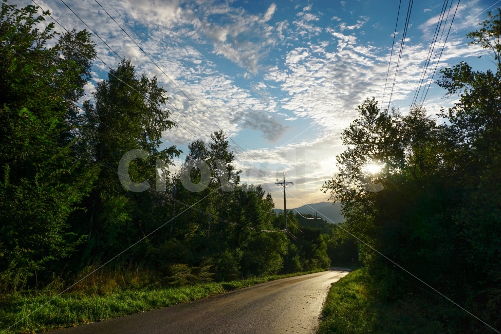 빛,빛사진,풍경사진,풍경,하늘,구름,자연,풍경,nature,landscape,여름,계절,summer,season,asphalt,아스팔트,road,도로