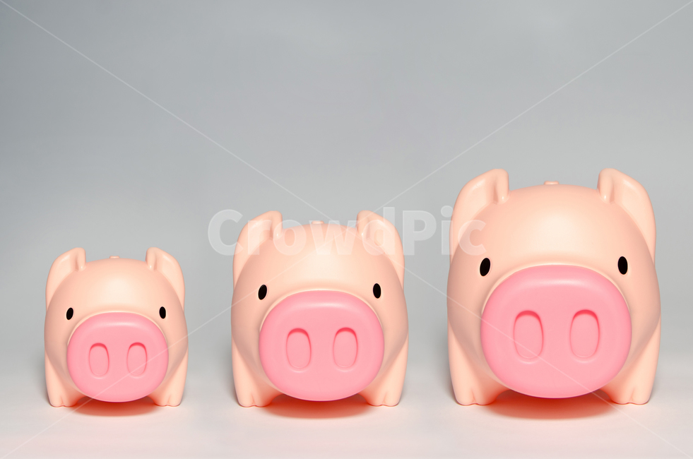 돼지저금통,수익,투자,증가,비즈니스,저금통,성공,금융,기쁨,핑크,적금,저금,돼지