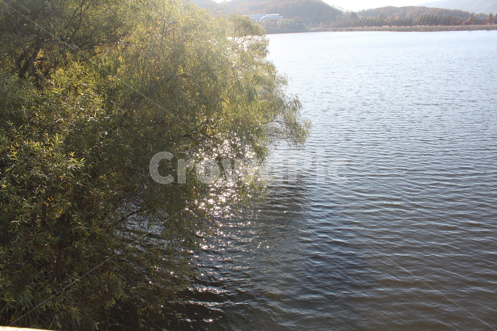water,물,nature,자연,나무,햇빛,강,자연,풍경,nature,landscape