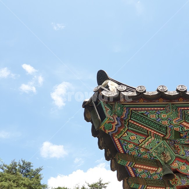 단청,한옥,전통,하늘,구름,화창,절,temple