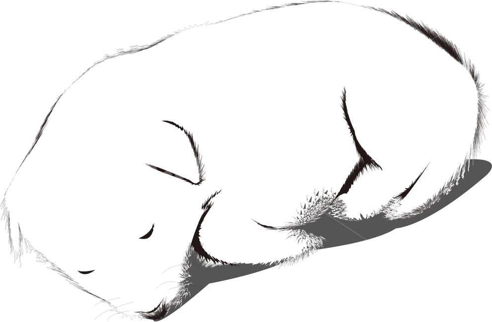 백구,진돗개,새끼강아지,토종개,한국개,하얀강아지,귀여운,잠자는,멍멍이,강아지,개,강아지,dog,doggy,그래픽,일러스트레이션,graphic,illustration