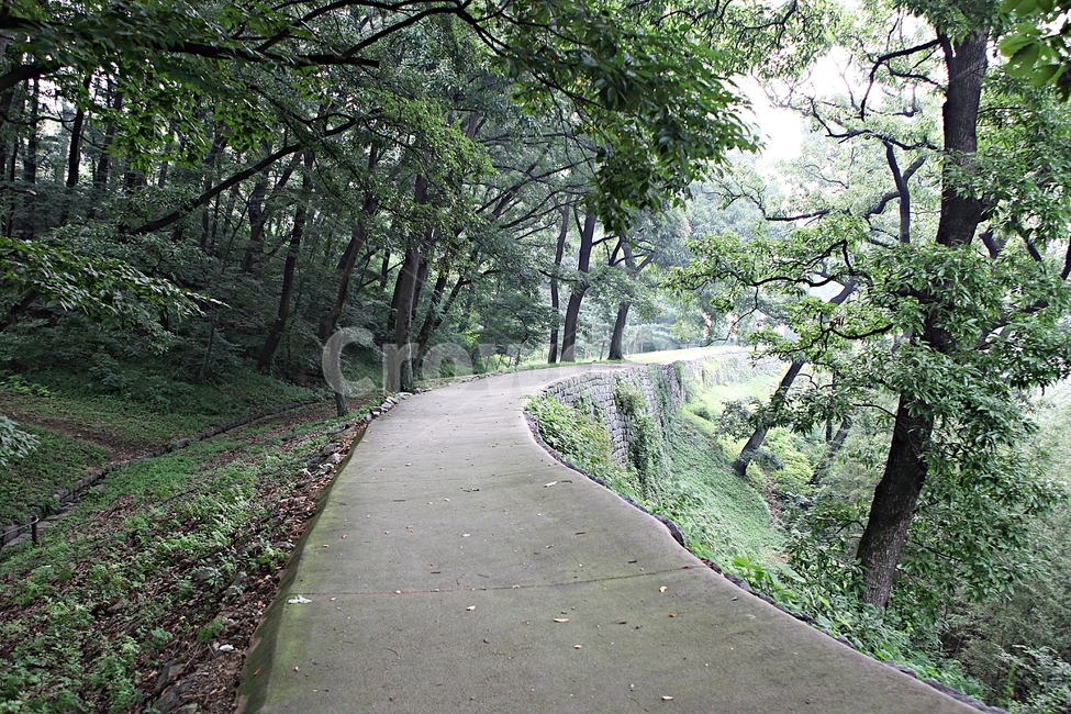 공주산성,산성,성,성곽,길,둘레길,숲,숲길,안개,돌담,담,여름,풍경,벽,방어벽,흙담,나무,식물,유네스코등제