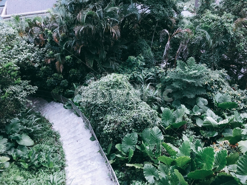대만,타이베이,outdoors,garden,정원