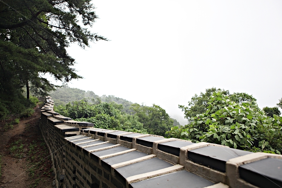 남한산성,성,성곽,숲,숲길,길,둘레길,벽,담,돌담,풍경,여름