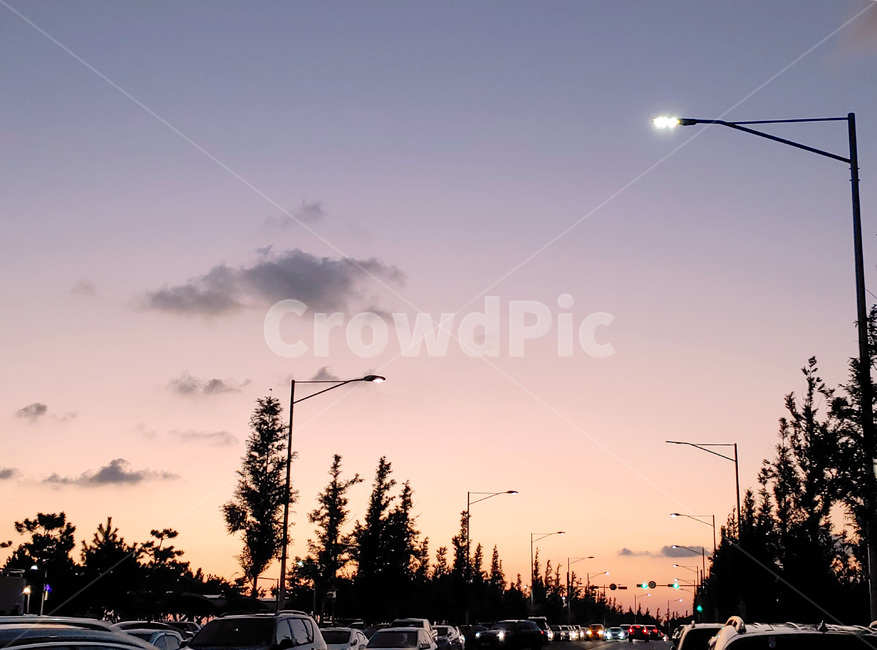 석양,해질녘,도로,일몰,배경,풍경,자동차,차,car,automobile,tree,나무,traffic,교통,road,asphalt,아스팔트,route,sundown,landscape,view,황혼,pavement,evening,background,cloud,구름,하늘,sky,redsky,sunset,붉은하늘,outdoors,rural,urban,시외,옥외