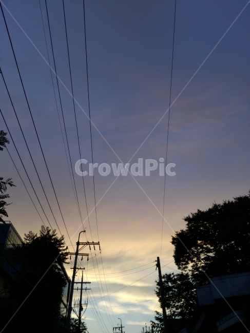 저녁하늘,노을,석양,하늘,구름,아름다운,나무,저녁,자연,풍경,nature,landscape,power lines,전력선,cable,케이블
