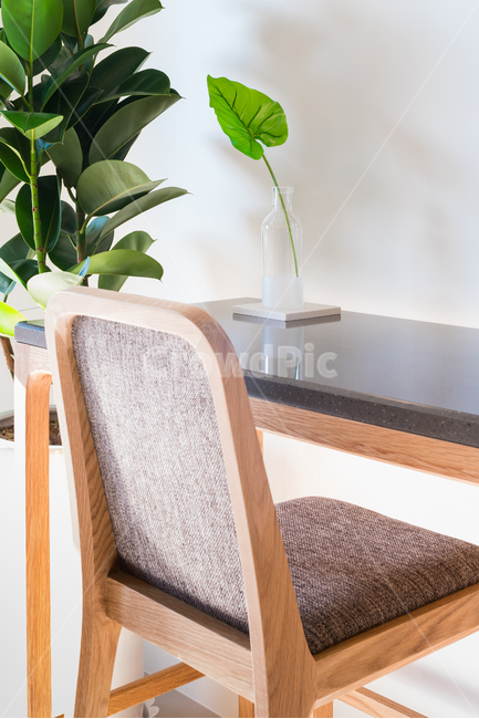 가구,인테리어,실내화초,모던,디자인,미니멀,장식품,테이블,concept,table,의자,실내용화초,화분,화초,house plant,인테리어,실내디자인,interior design