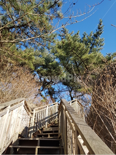 산,자연,나무,mountain,tree,nature,등산로,오솔길,trail,outdoors,계단,stairs,난간,handrail