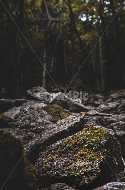 산,민주지산,mountain,한국산,풍경,하늘,sky,절경,자연,풍경,nature,landscape,plant,식물