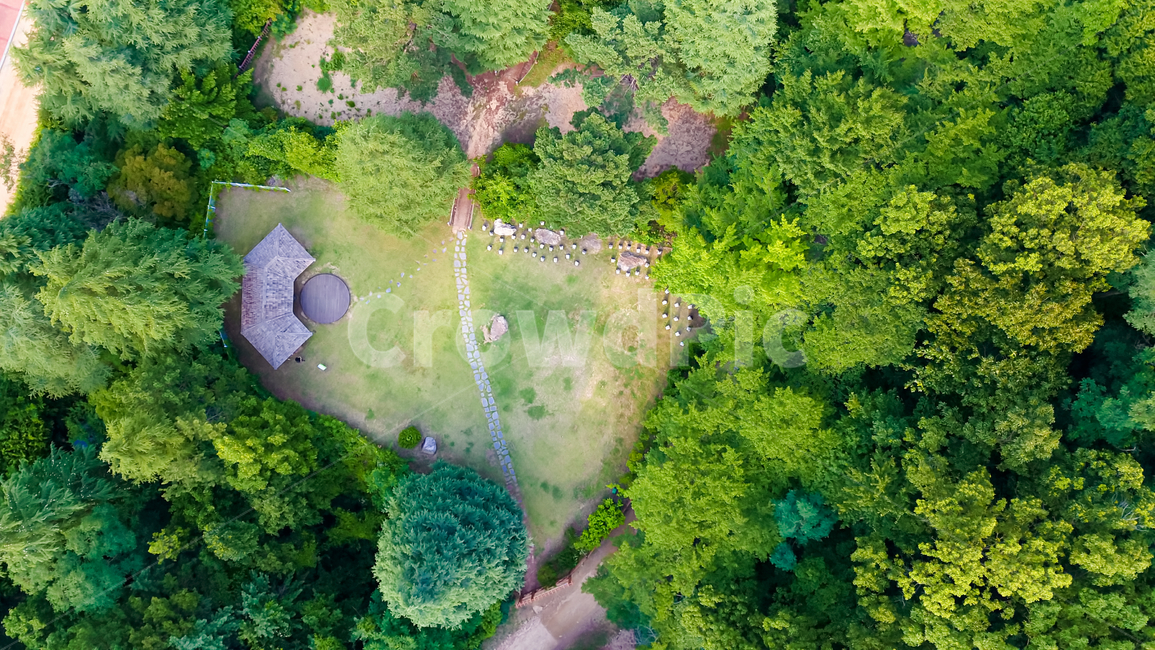 금오산,풍경,배경사진,숲속,힐링,산책,자연,nature,landscape,한국자연풍경