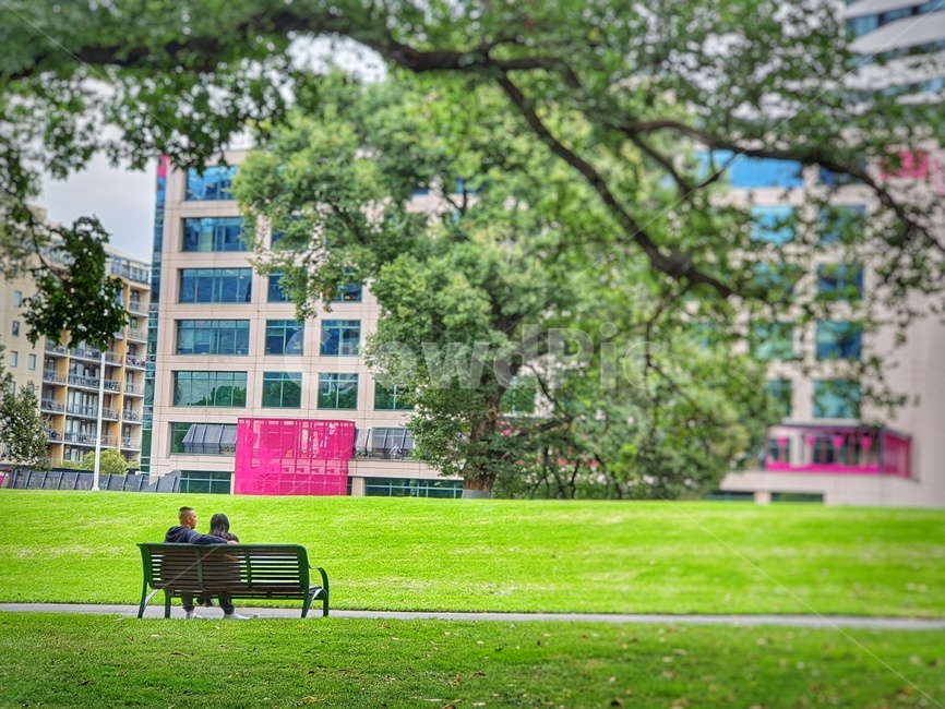 공원,공원벤치,apark,park,멜버른공원,나무,자연,풍경,여유로움,멜버른,벤치,산책,둘이,우리,함께,together,나뭇가지,grass,잔디,plant,식물,bench,couple,커플,사랑,나눔,부부