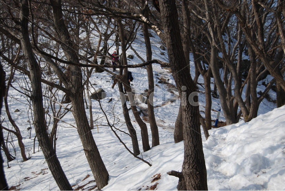 광덕사,장군바위,박씨샘,자연의위대함,등산로,능선,아름다움,신비스런산,돌,산행,힐링,자연,감성,등산,계절,여행,한국,한국명산,한국등산,풍경,눈,나무,하늘,바람,바람소리,환경,생태계,산,땅,겨울,계절,winter,season