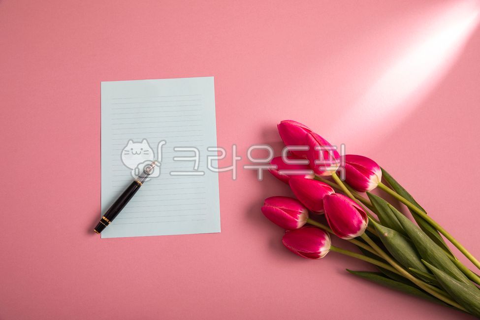 fragrant,flower buds,notepad,cikiroaoer,background paper,spring,beautiful,fan,fountain pen,colored paper,coloredpaper,stationery,folwer,pan,springflowers,backgroundpaper,background,plant,spring flower,color paper,ball fan,red tulip,petal,paper,note paper,